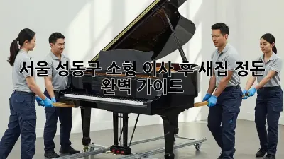 서울 성동구 소형 이사 후, 새집 정돈 완벽 가이드