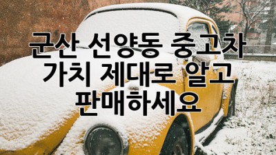 군산 선양동 중고차 가치, 제대로 알고 판매하세요!